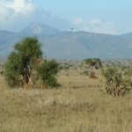 kenia-2009-02 511