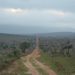 kenia-2009-03 026